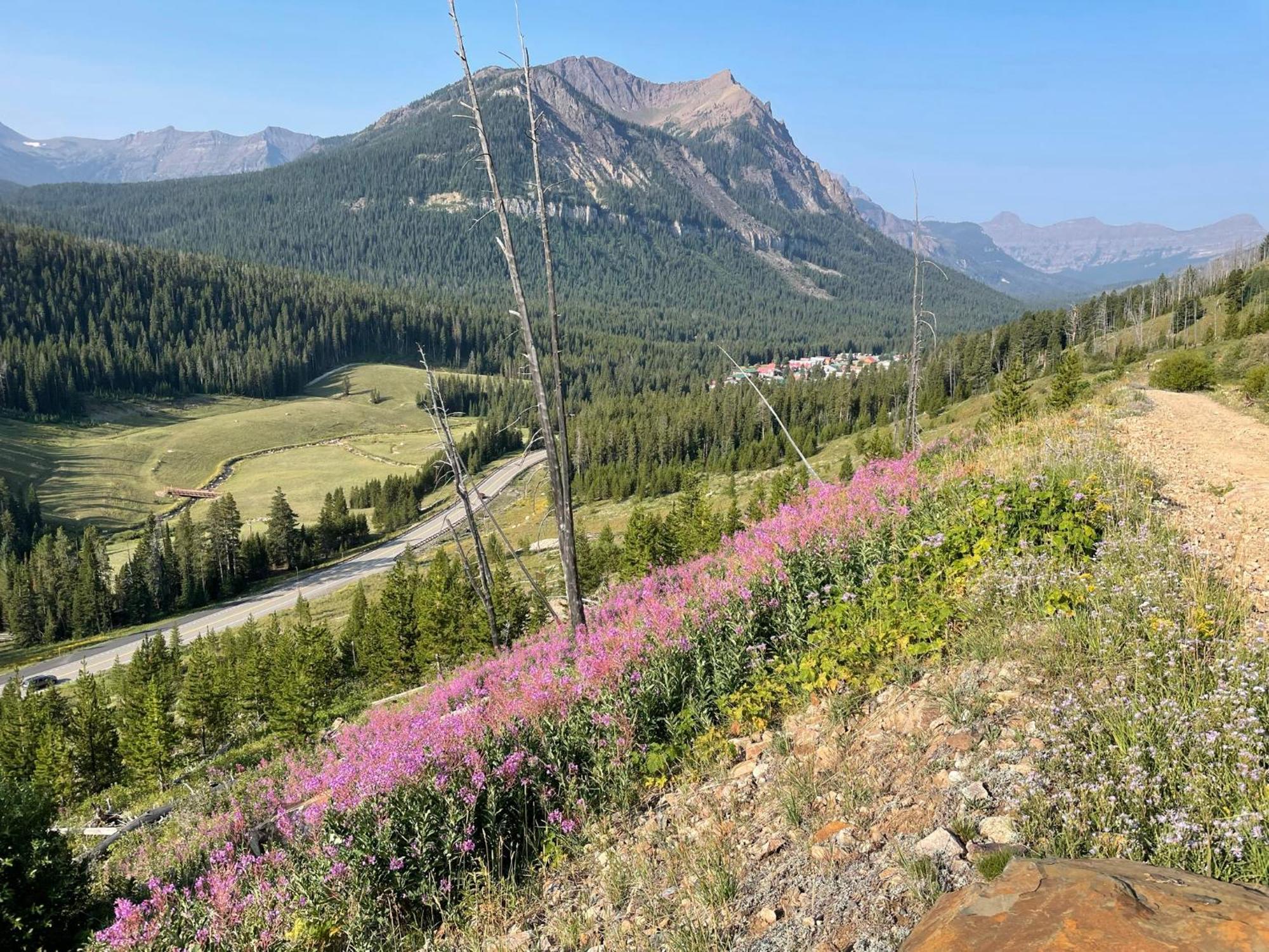 Antlers Lodge Кук Сити Екстериор снимка